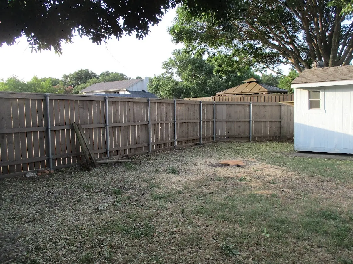 Cleared yard after professional tree removal in Mount Lookout